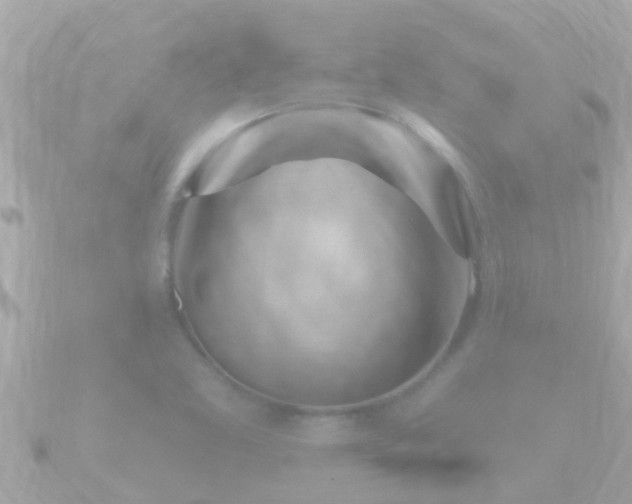 X0000090951461200708091320
