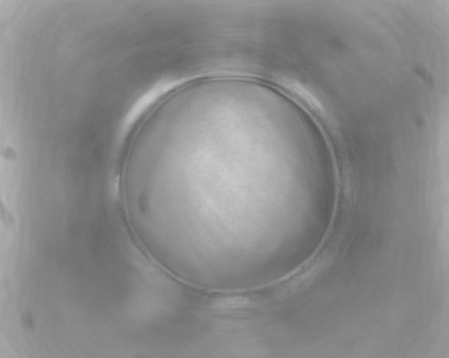 X0000090951462200708091320