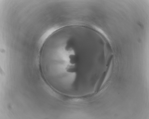 X0000090951463200708091319
