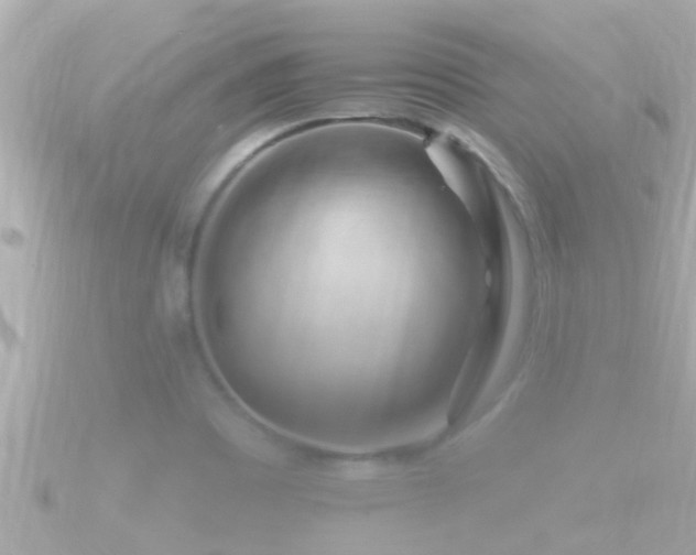 X0000090951465200708091319