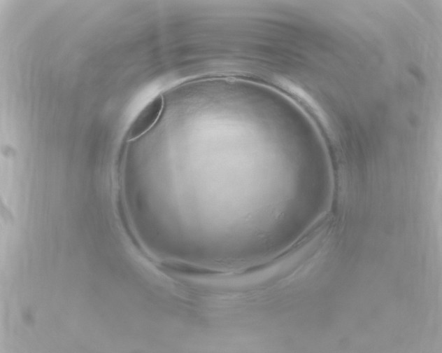 X0000090951467200708091319