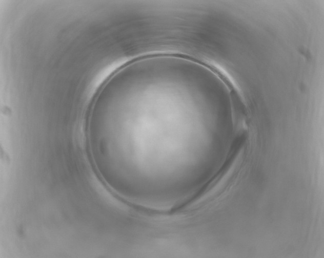 X0000090951468200708091319