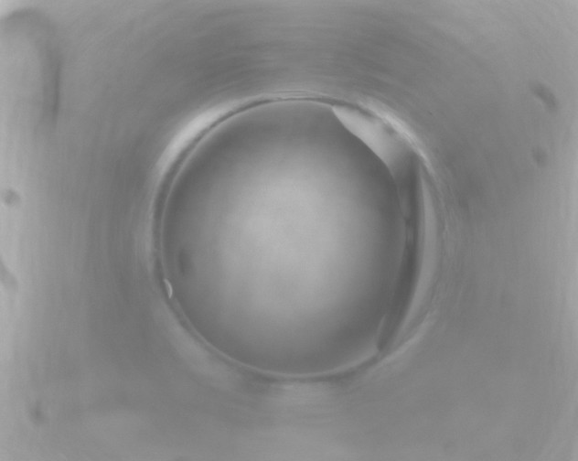 X0000090951469200708091319