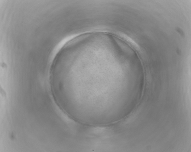 X0000090951470200708091319