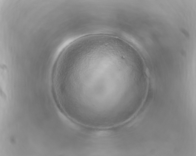 X0000090951471200708091319