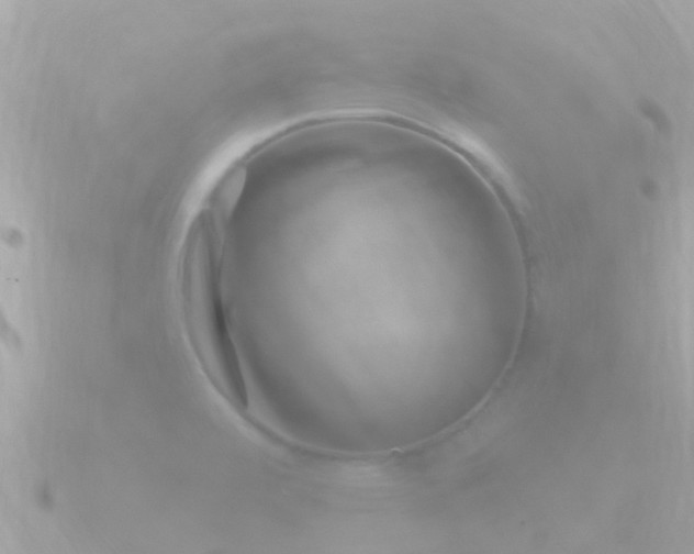 X0000090951472200708091319