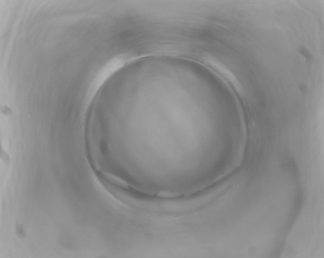 X0000090951475200708091319