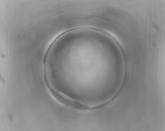 X0000090951476200708091319