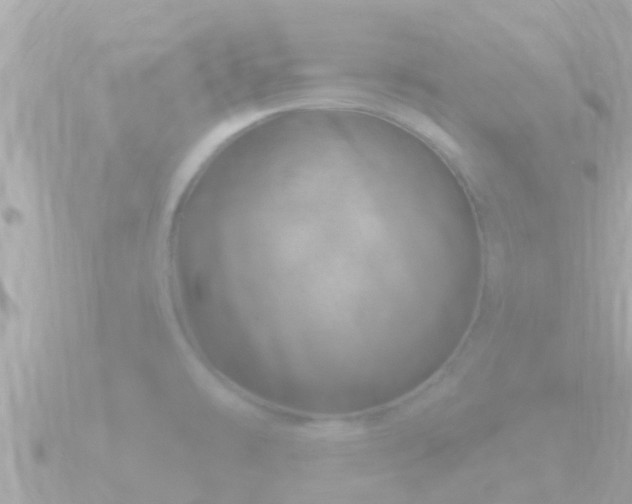 X0000090951478200708091319