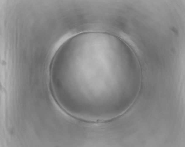 X0000090951479200708091319
