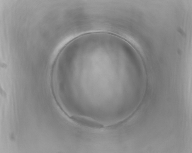 X0000090951480200708091319