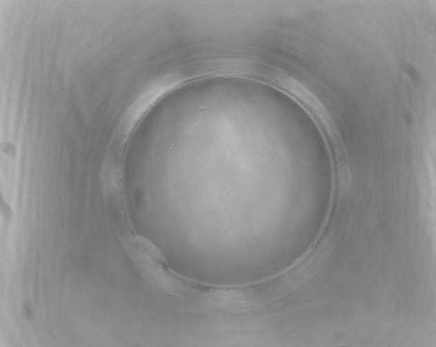 X0000090951481200708091319