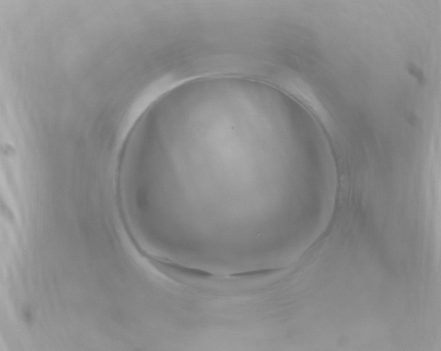 X0000090951483200708091319