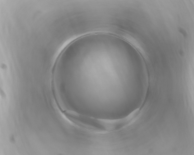 X0000090951484200708091319