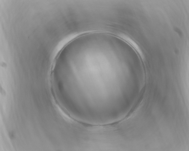 X0000090951485200708091319