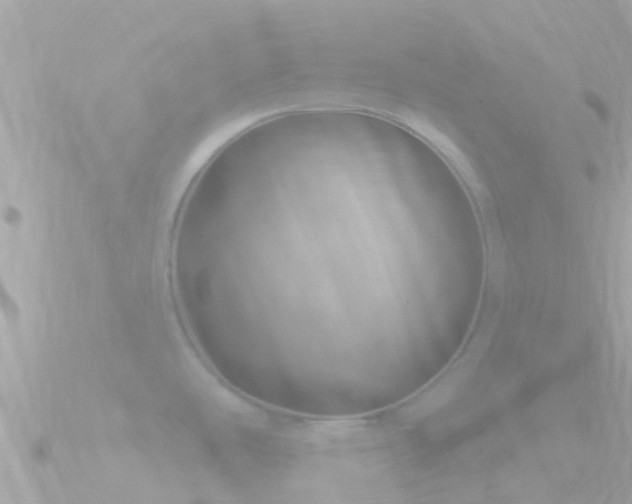 X0000090951486200708091319