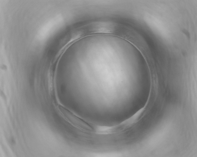 X0000090951487200708091319