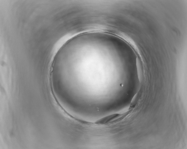 X0000090951488200708091319