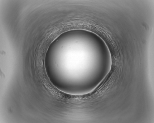 X0000090951489200708091319
