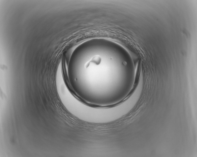 X0000090951490200708091319