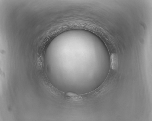 X0000090951491200708091319