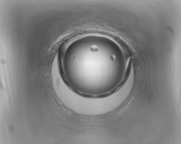 X0000090951494200708091319
