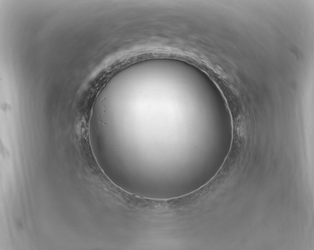 X0000090951495200708091319