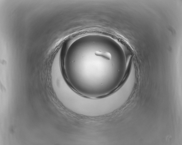 X0000090951496200708091319