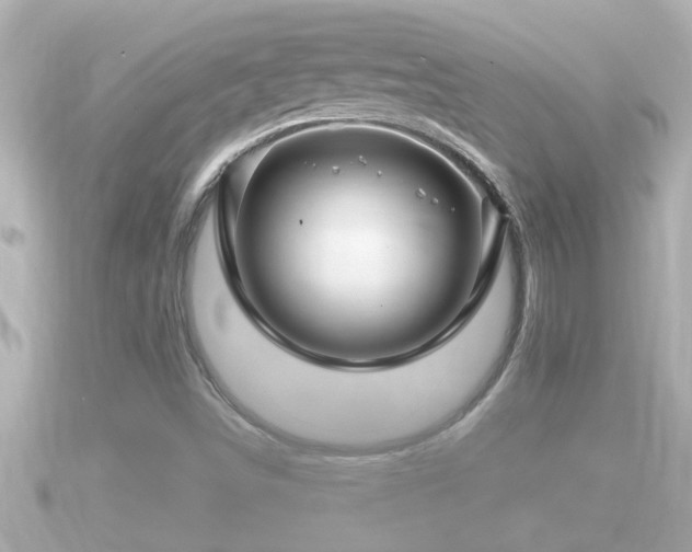 X0000090951498200708091319