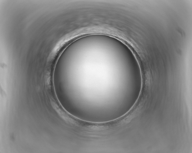 X0000090951499200708091319