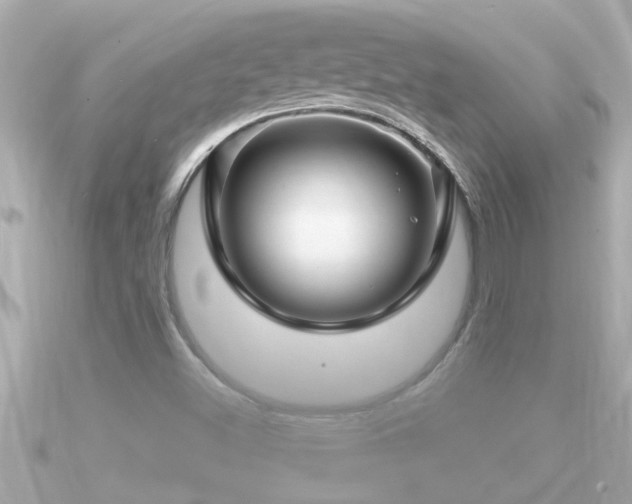 X0000090951500200708091319