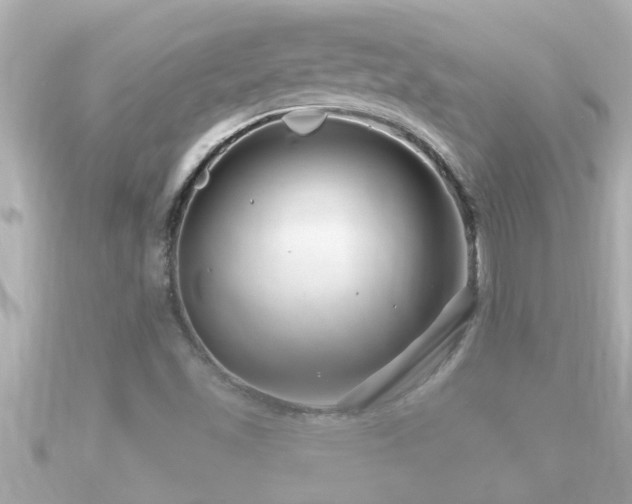 X0000090951501200708091319
