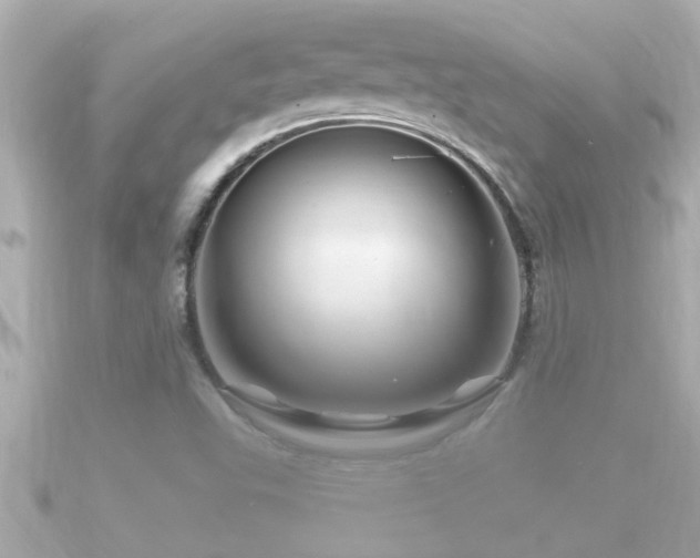 X0000090951503200708091319