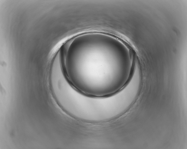 X0000090951504200708091319