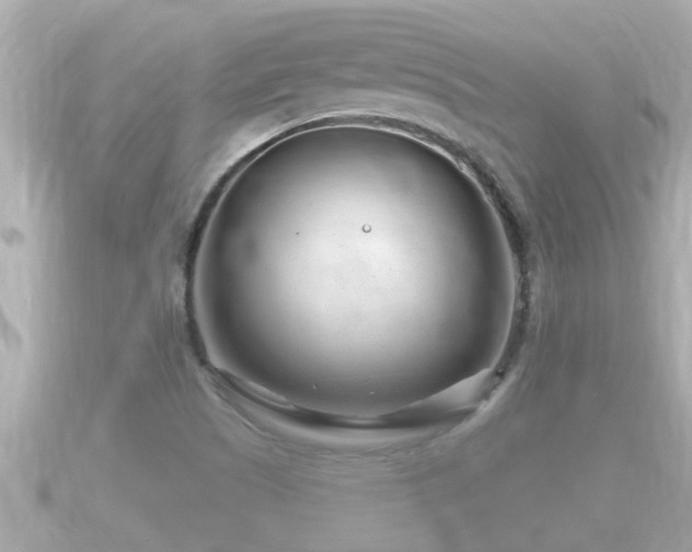 X0000090951505200708091319