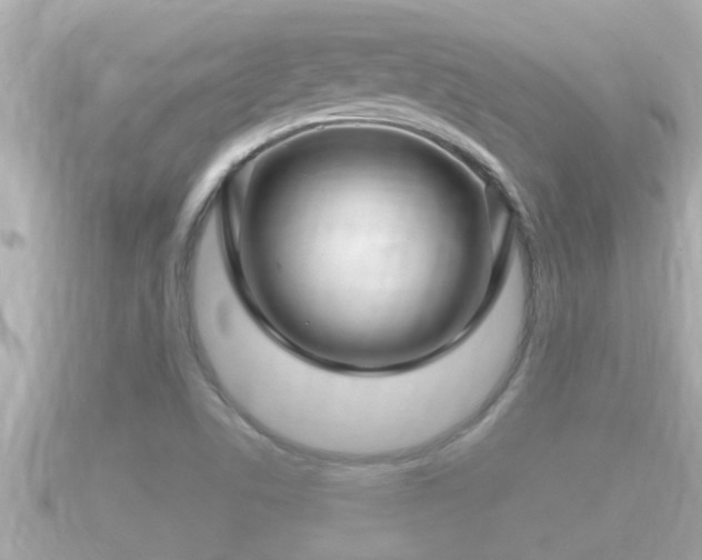 X0000090951506200708091319