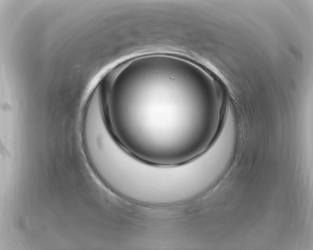 X0000090951508200708091319