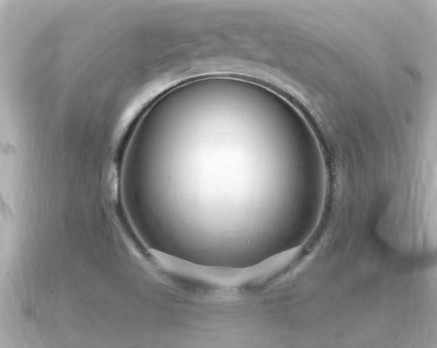X0000090951509200708091319