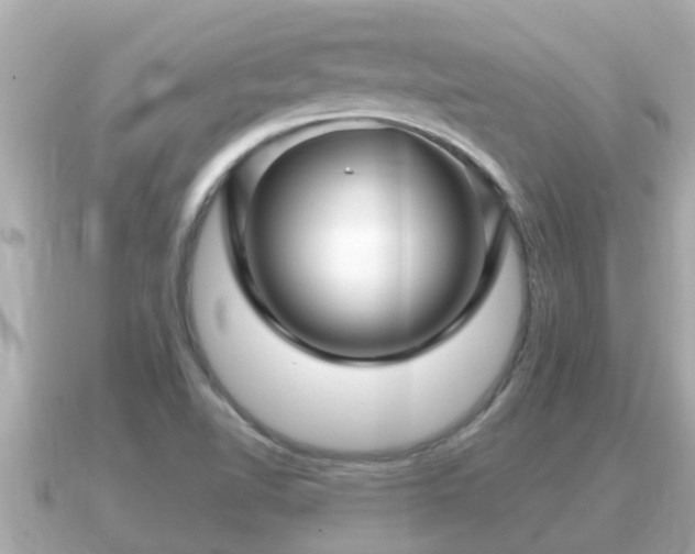 X0000090951510200708091319