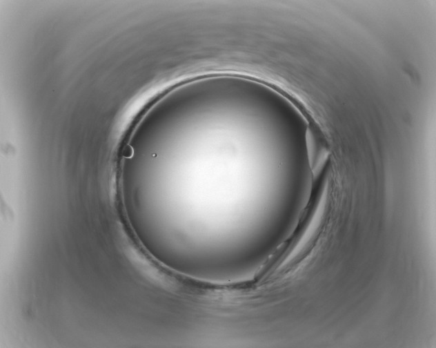 X0000090951511200708091319