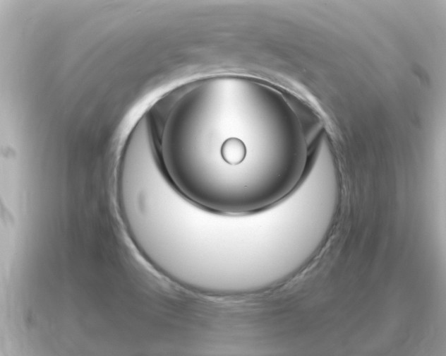 X0000090951512200708091319