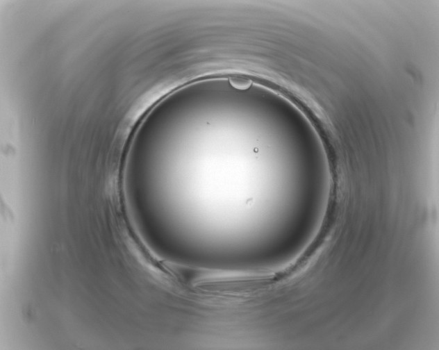 X0000090951513200708091319