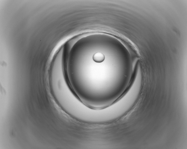 X0000090951514200708091319
