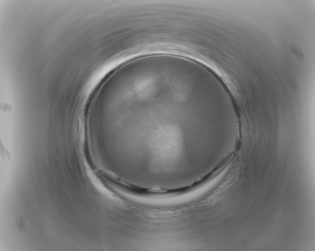 X0000090951515200708091319