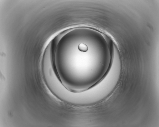 X0000090951516200708091319