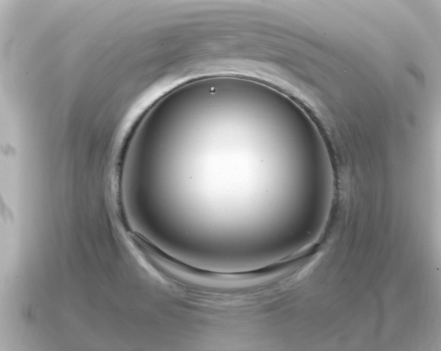 X0000090951517200708091319