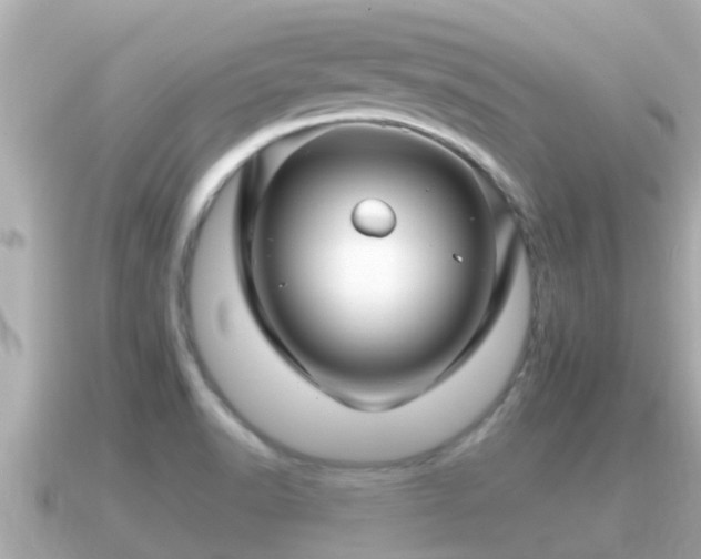 X0000090951518200708091319