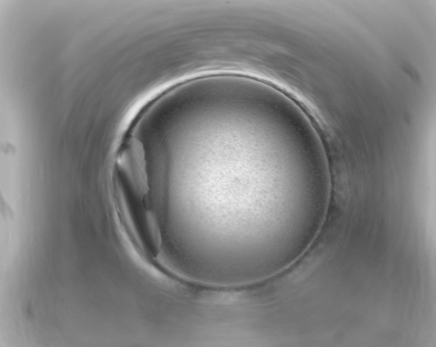 X0000090951519200708091319
