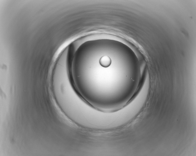 X0000090951522200708091319