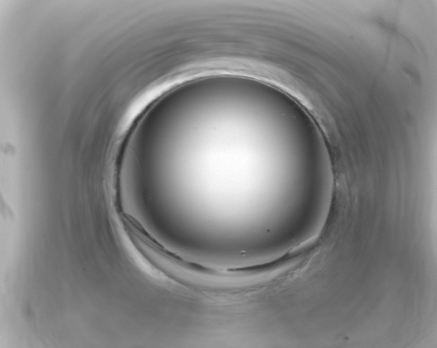 X0000090951523200708091319